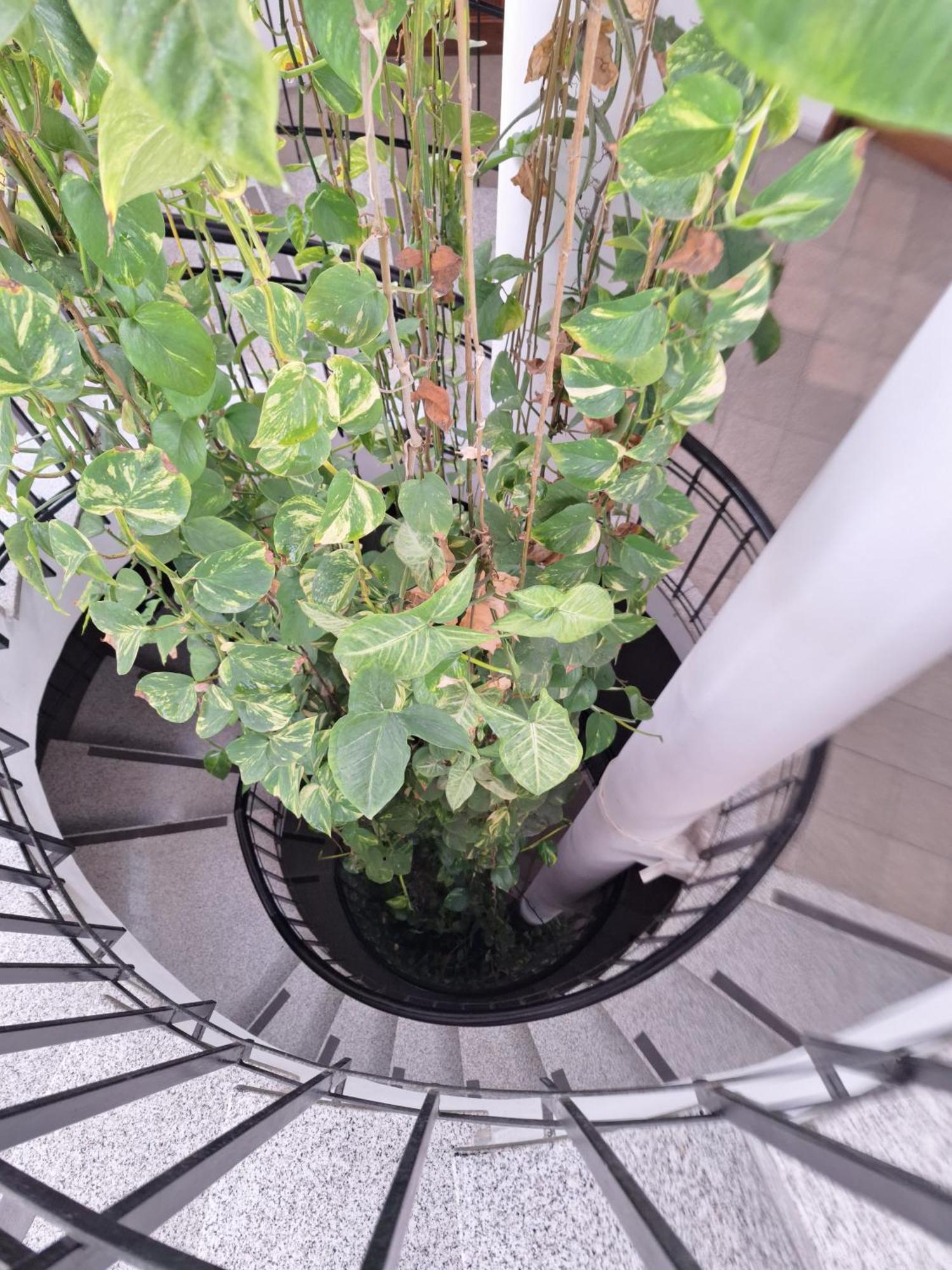 Apartment Chunin Depart Салта Екстериор снимка